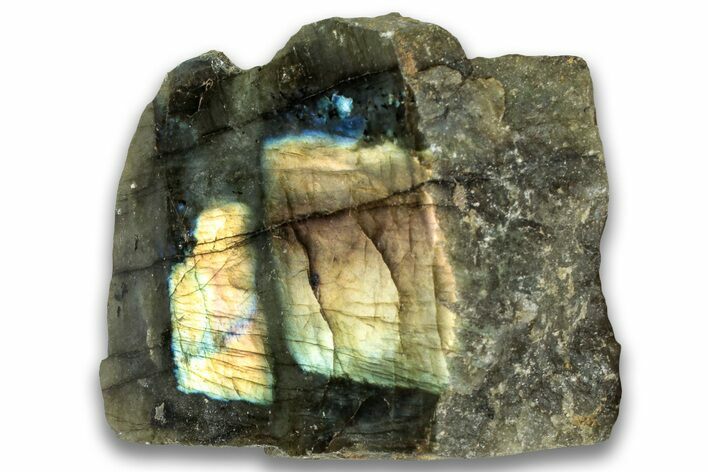 Single Side Polished Labradorite Section - Madagascar #324681